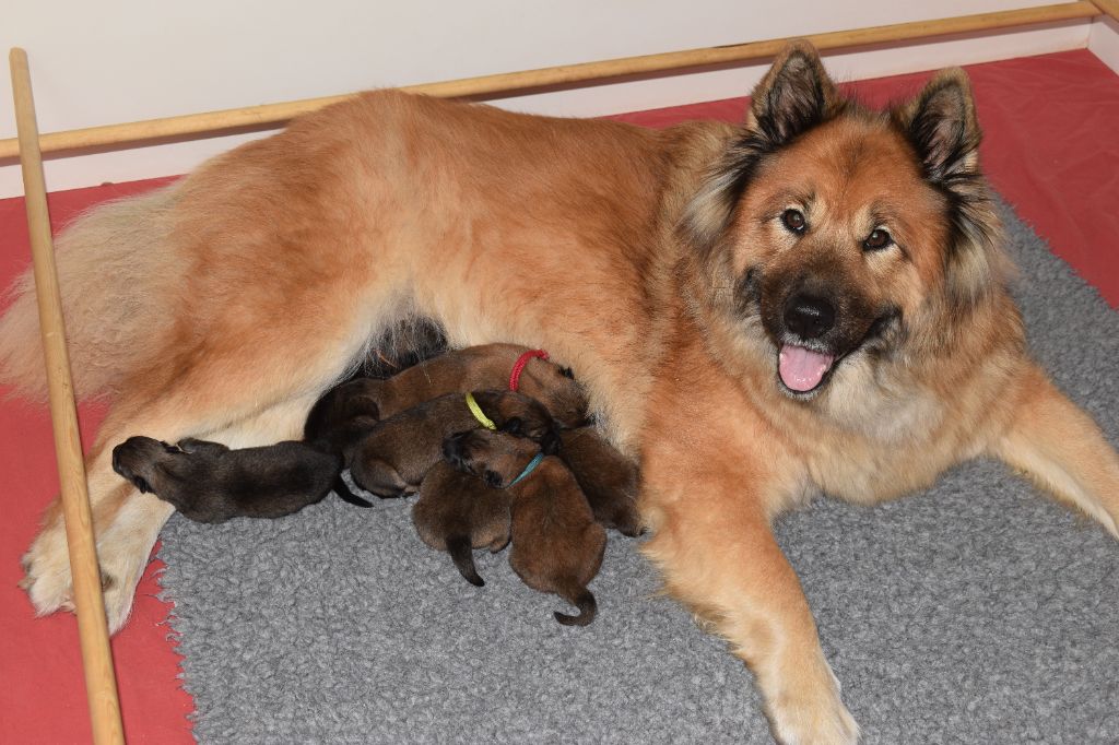 Nos petites merveilles sont nées !